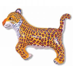 Леопард сині плями Fl