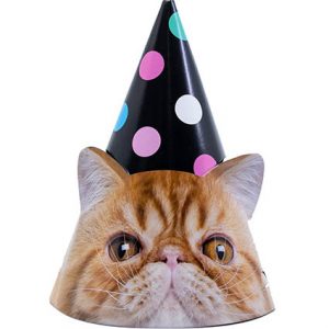 Ковпачки котики фотографічні  6шт