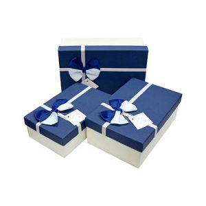 Прямокутна біла з синьою кришкою та бантом 23см*16см*9,5см