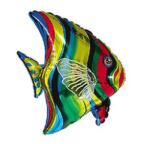 Риба тропічна Fl