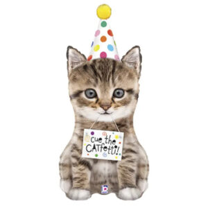 Кошеня в ковпачку G