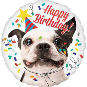 Круг Happy Birthday Собачка ковпаку США