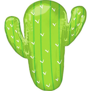 Кактус США An