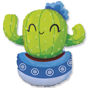 Кактус блакитний Fl