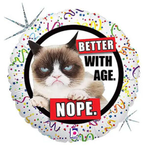 Круг Сумний Похмурий кіт G