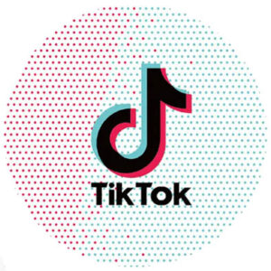 Тарілки одноразові паперові TikTok ТікТок 18см 10шт