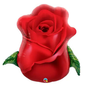 Троянда США Qu