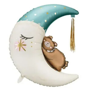 Місяць з Ведмедиком для Хлопчик PD